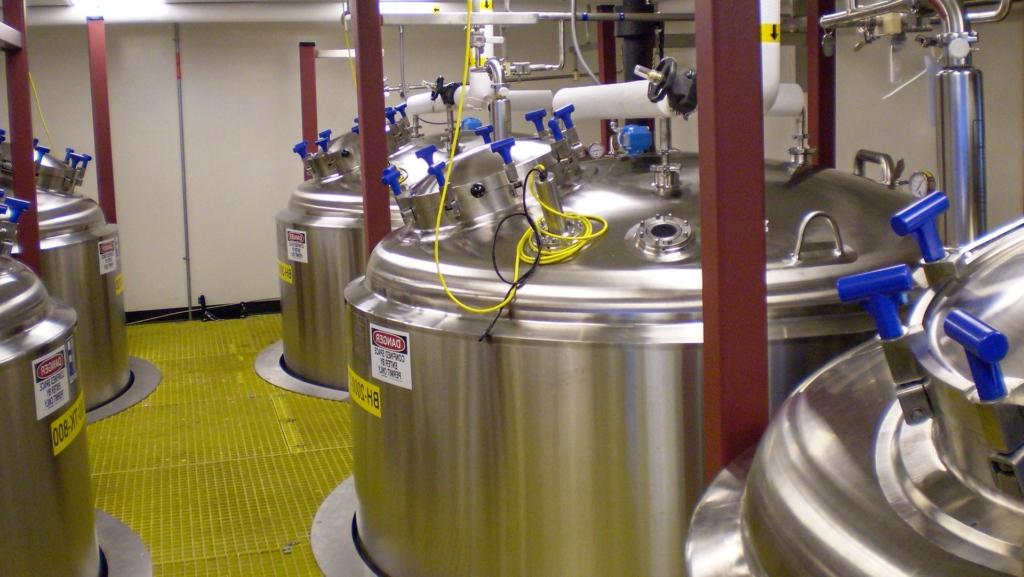 Fermentation room with view of five stainless steel vats